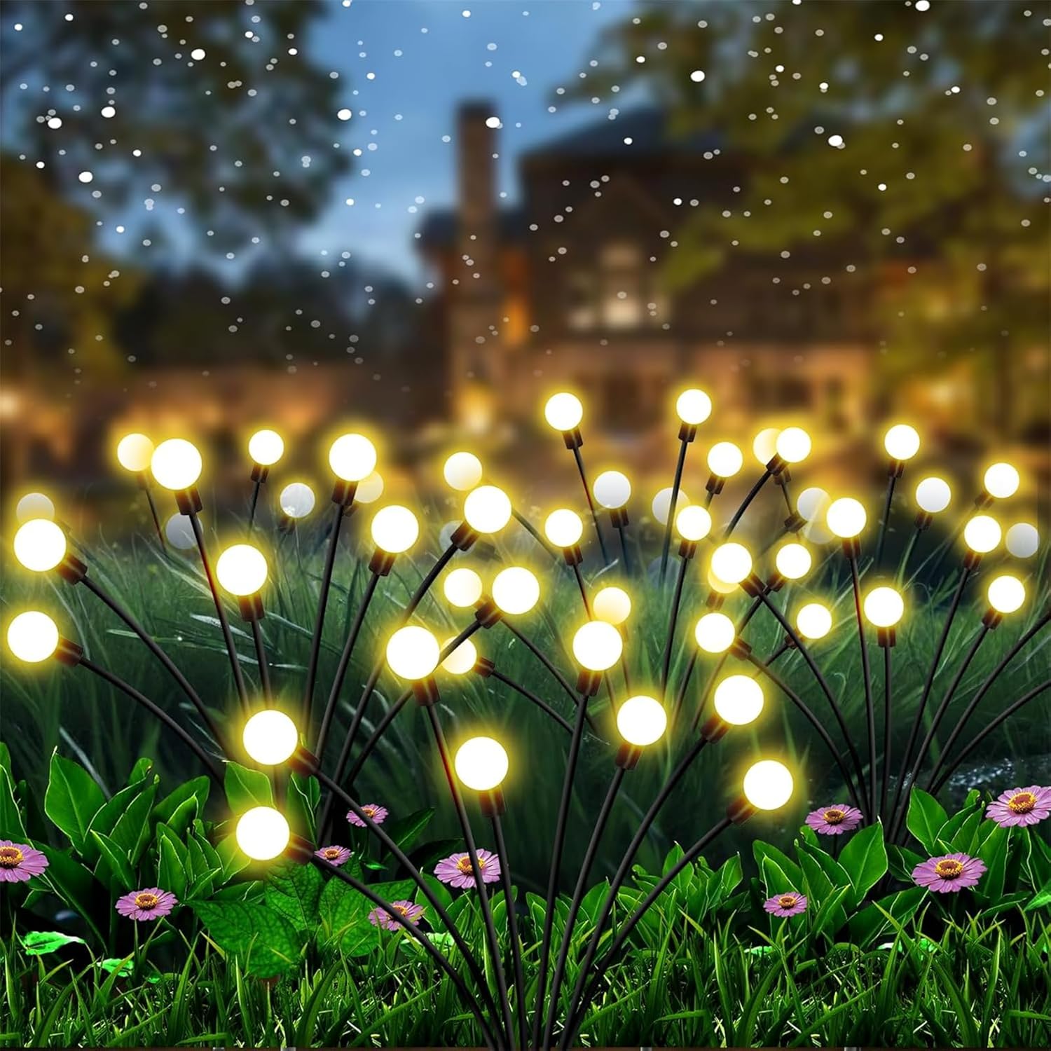 Garden Lights